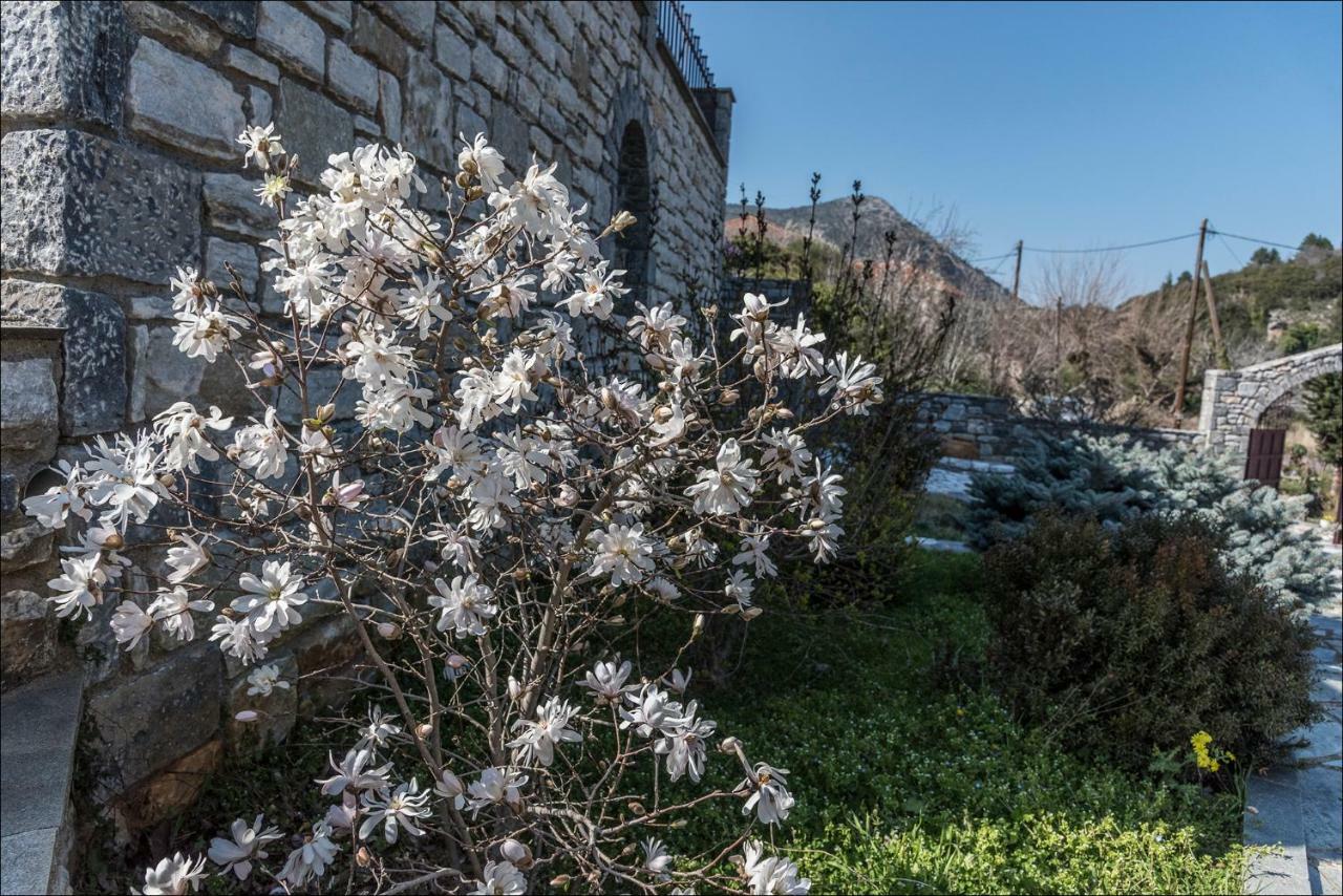Stone Mansion Anavryti, Αμα 20569 Mistras Exterior foto